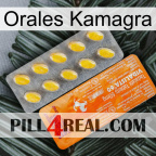 Oral Kamagra new05